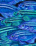 Current Original Painting