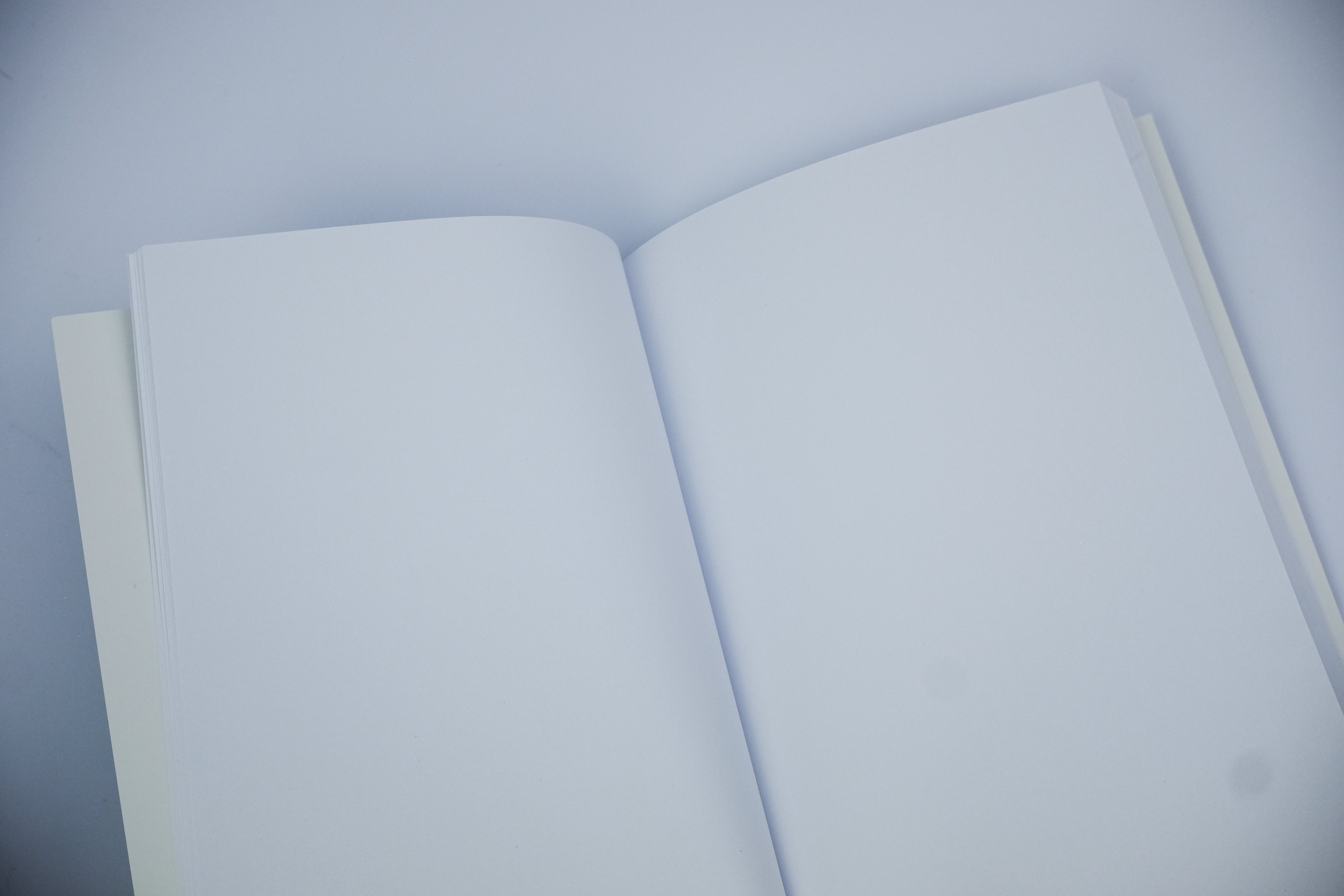 Echo Chamber Journal